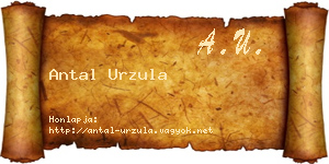 Antal Urzula névjegykártya